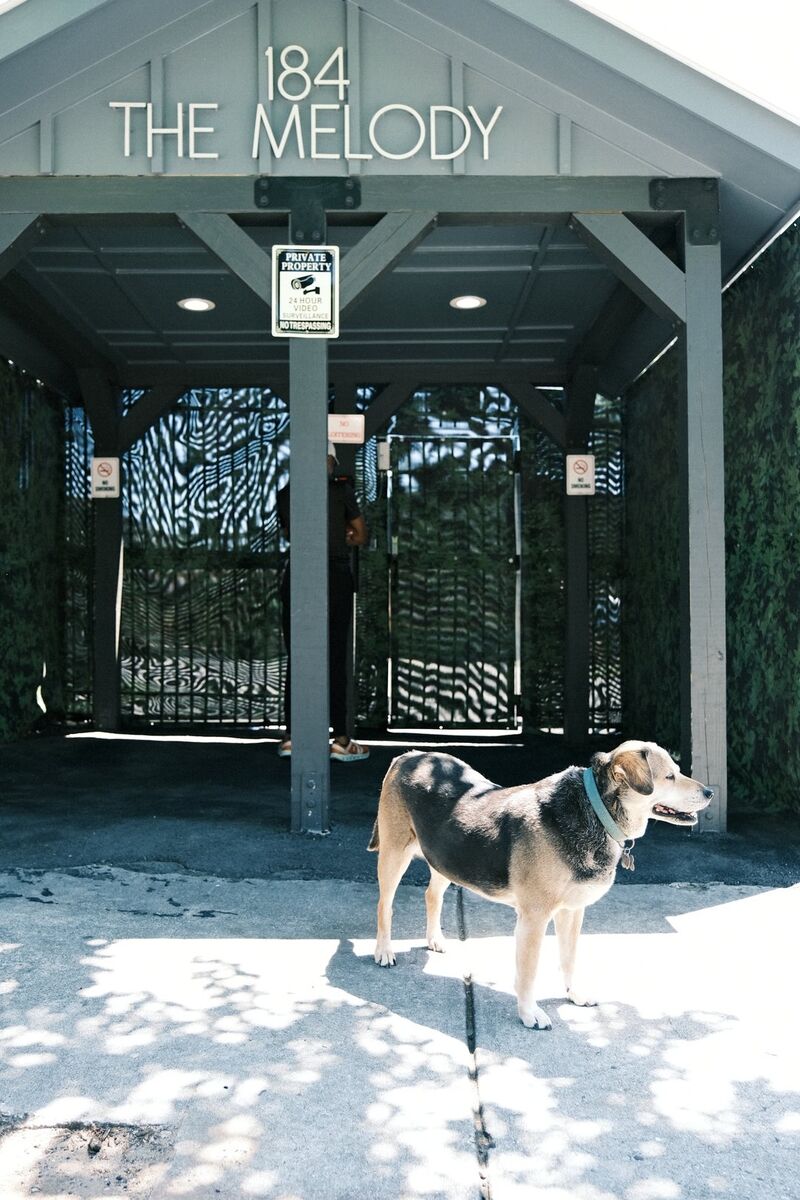 Animal, photograph 8 of 10